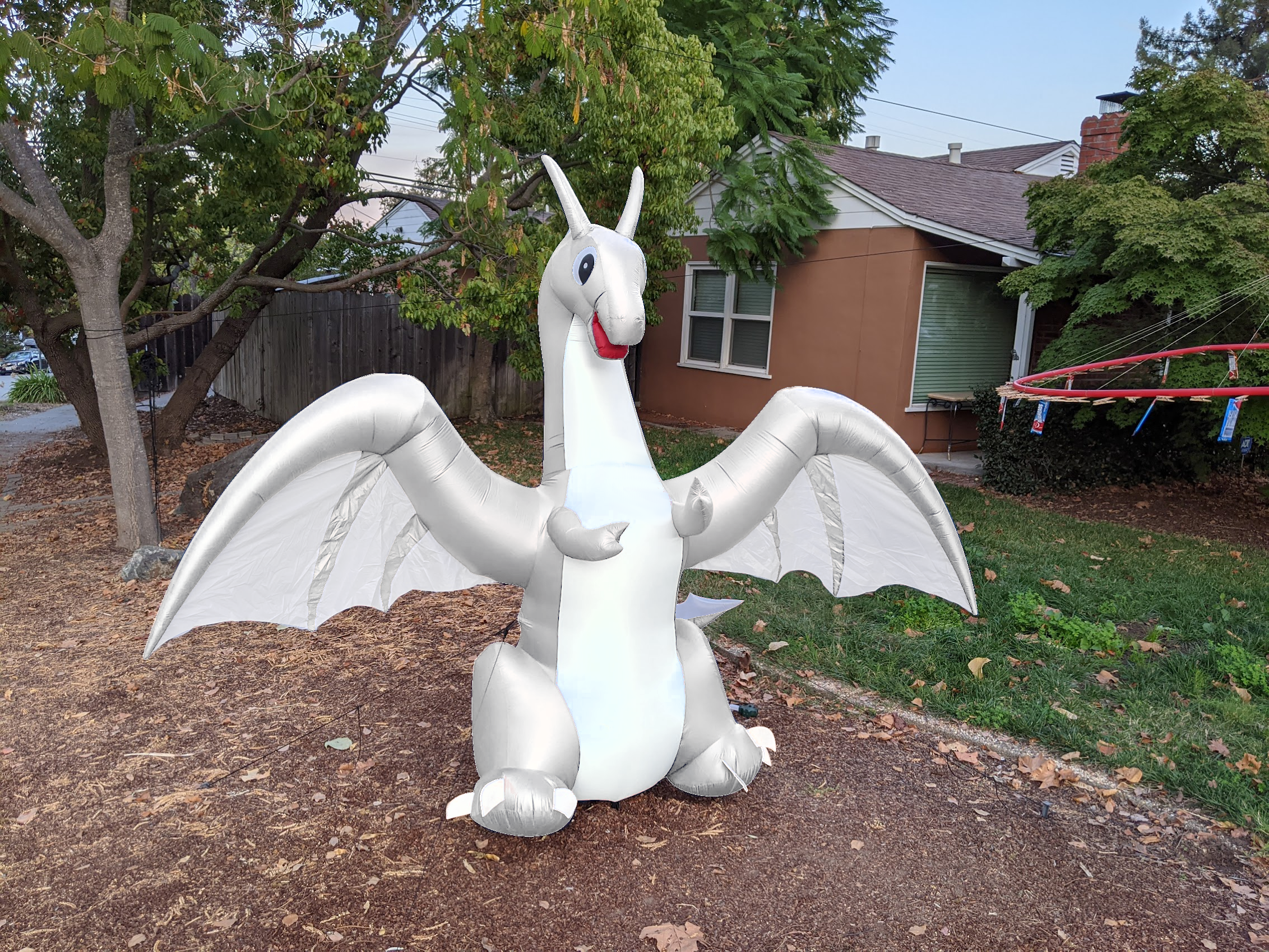 Dragon!